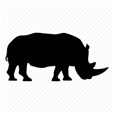 Rhino Business Funding