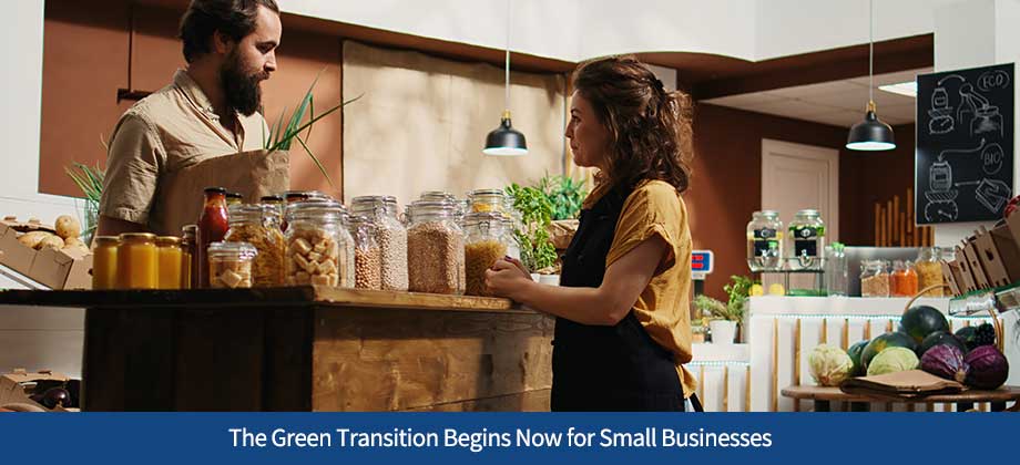 The Green Transition Begins Now for Small Businesses